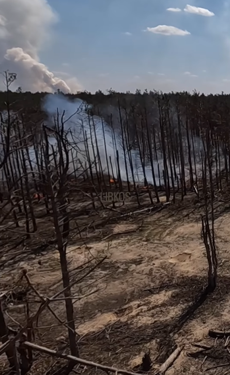 "Безжалостный ад". В сети показали, как выглядит село в Херсонской области, которое уничтожили россияне